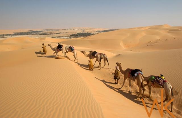 Desert Safari Deals for Solo Travelers: How to Make the Most of Your Trip